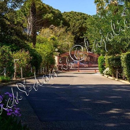 Magnifique Parc De La Presqu'Ile Avec Piscine Et Plage Face A Porquerolles ! Hyeres Bagian luar foto