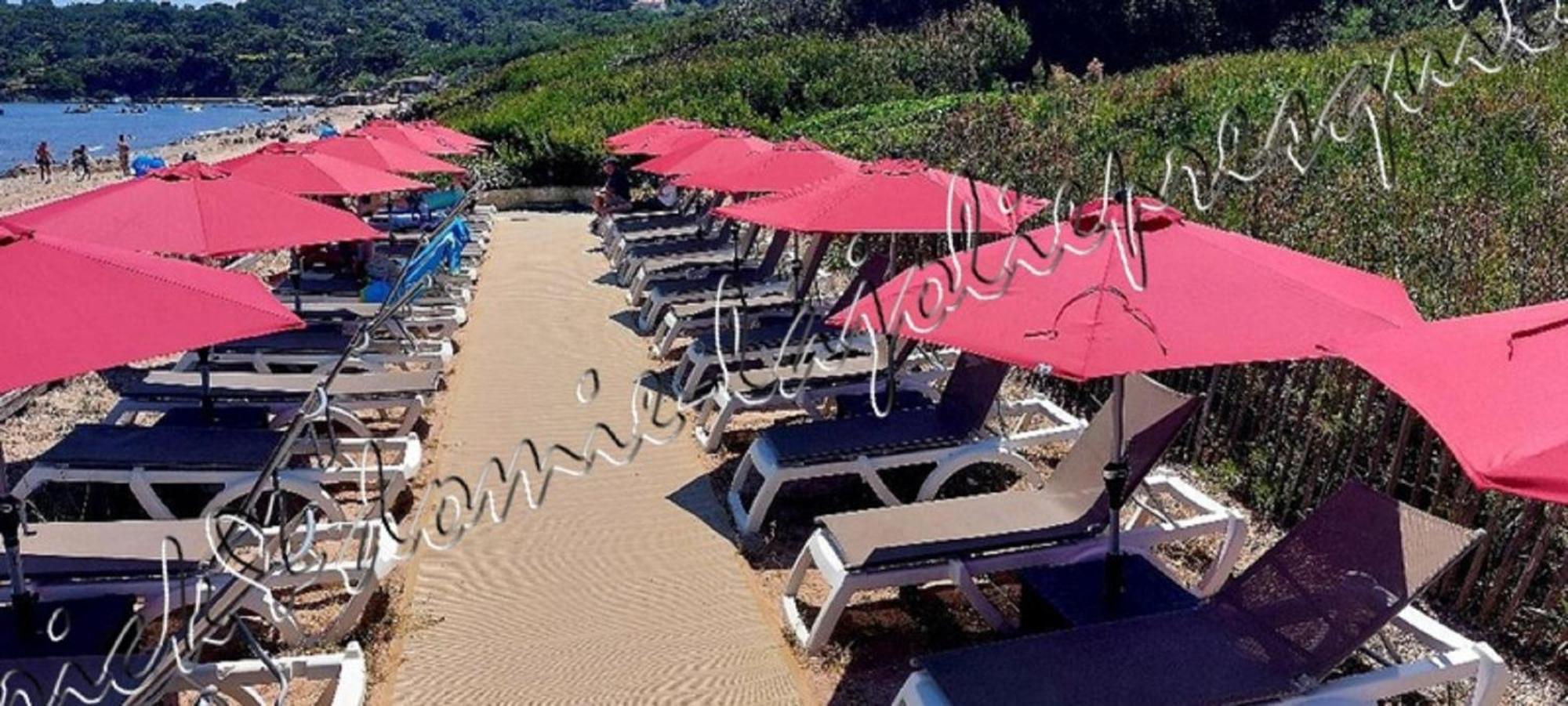 Magnifique Parc De La Presqu'Ile Avec Piscine Et Plage Face A Porquerolles ! Hyeres Bagian luar foto