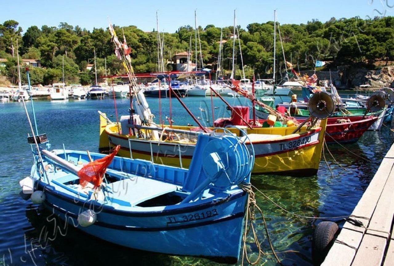 Magnifique Parc De La Presqu'Ile Avec Piscine Et Plage Face A Porquerolles ! Hyeres Bagian luar foto