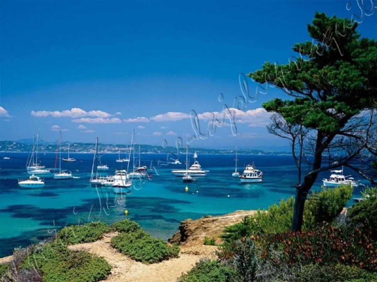 Magnifique Parc De La Presqu'Ile Avec Piscine Et Plage Face A Porquerolles ! Hyeres Bagian luar foto