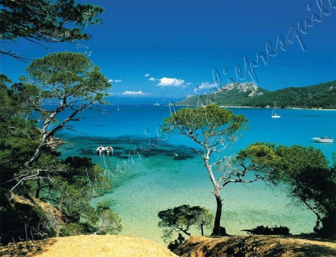 Magnifique Parc De La Presqu'Ile Avec Piscine Et Plage Face A Porquerolles ! Hyeres Bagian luar foto