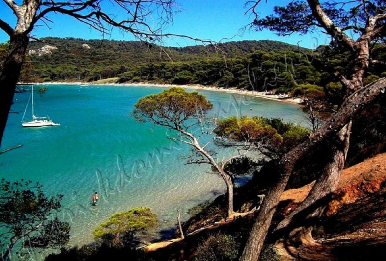 Magnifique Parc De La Presqu'Ile Avec Piscine Et Plage Face A Porquerolles ! Hyeres Bagian luar foto