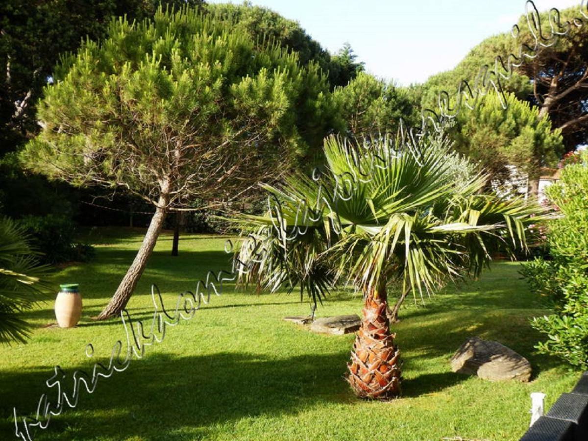 Magnifique Parc De La Presqu'Ile Avec Piscine Et Plage Face A Porquerolles ! Hyeres Bagian luar foto