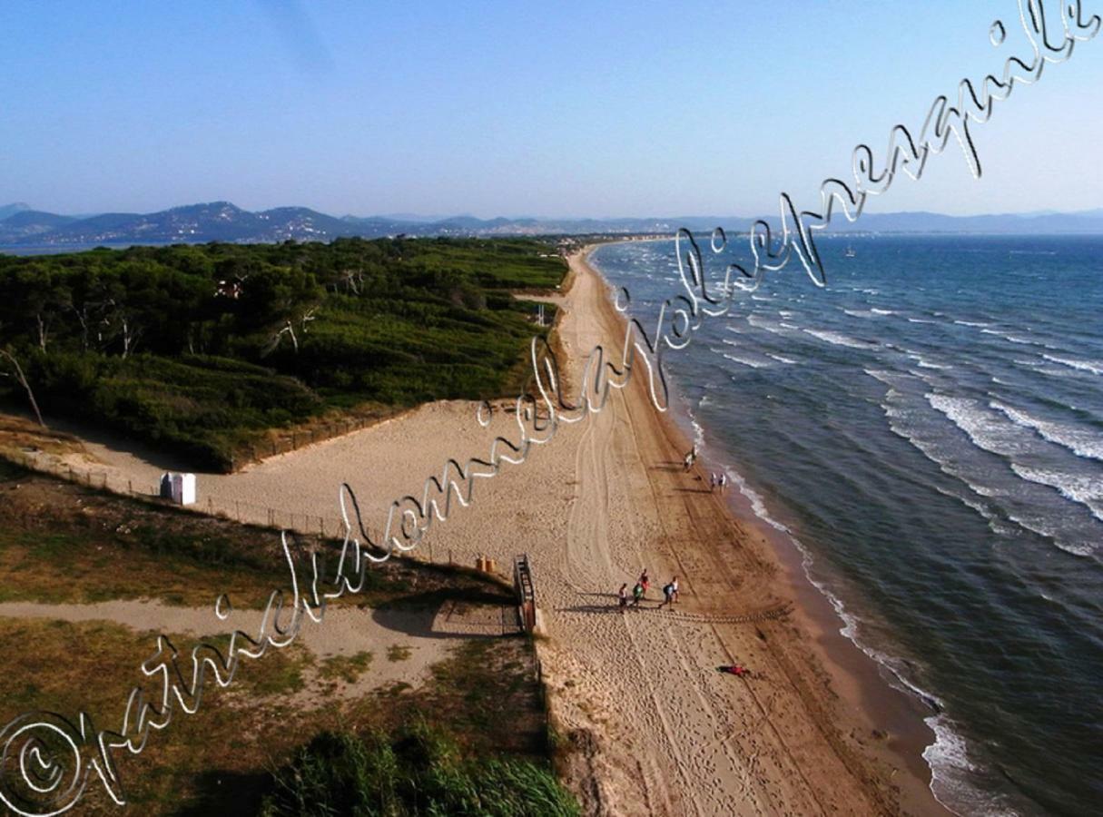 Magnifique Parc De La Presqu'Ile Avec Piscine Et Plage Face A Porquerolles ! Hyeres Bagian luar foto